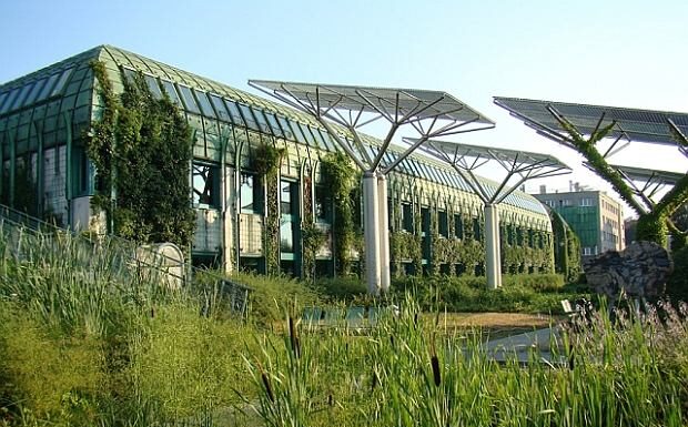 Ogród Botaniczny PAN