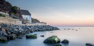 Co zamiast telewizora?