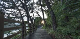 Gdzie szukać darmowych bitów?