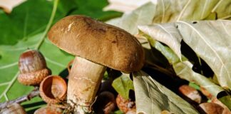 Jak zrobić pająka z filcu?