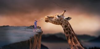 Kiedy zrezygnować z krzesełka do karmienia?