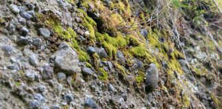 Ile kosztuje metr konglomeratu?