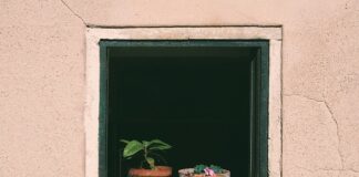 Jak często podlewać beton?