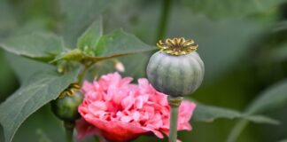 Ile pamięci zajmuje jeden znak?