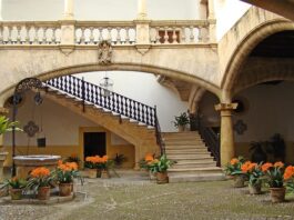 Czym wypełnić duże donice?