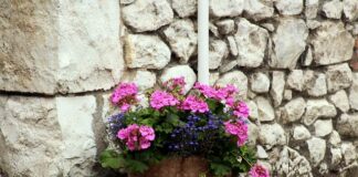 Co do dużych donic ogrodowych?