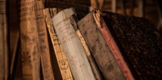 Co zrobić ze starego koryta?