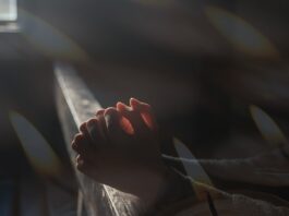 Jakie drewno nadaje się do toczenia?