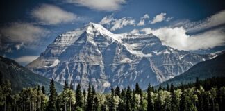 Gdzie w domu zamontować wideodomofon?