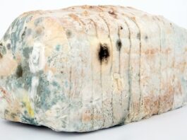 Jak zdezynfekować deskę klozetową?