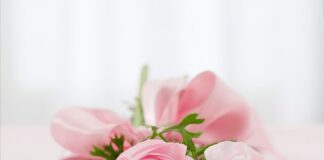 Do jakich kwiatów keramzyt?