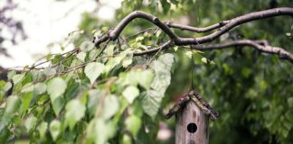 Do czego służy podajnik w MC?