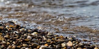 Jak zrobić żwirowe ścieżki?