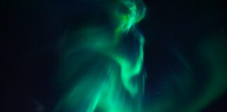 Co dodać do ziemi żeby była przepuszczalna?