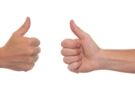 Czy na domek narzędziowy jest potrzebne pozwolenie?