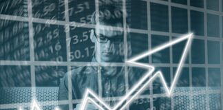 Która wódka jest lepsza stock czy bocian?