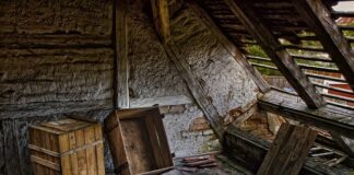 Co posadzić w skrzynkach na tarasie?