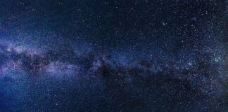 Jak zrobić obraz z plastrów drewna?