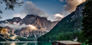 Czym pokryć Domek narzędziowy?