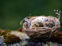 Czym przewiercić doniczkę ceramiczna?