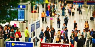 Czy można zameldować się na działce ROD?