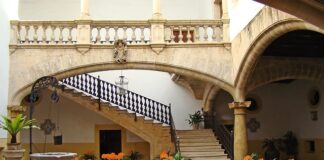 Co pod donice ogrodowe?